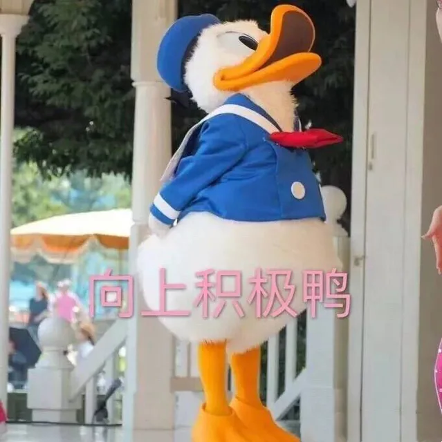 向上积极鸭