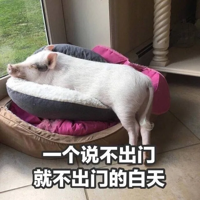 个说不出门就不出门的白天（个说不出门就不出门的白天）
