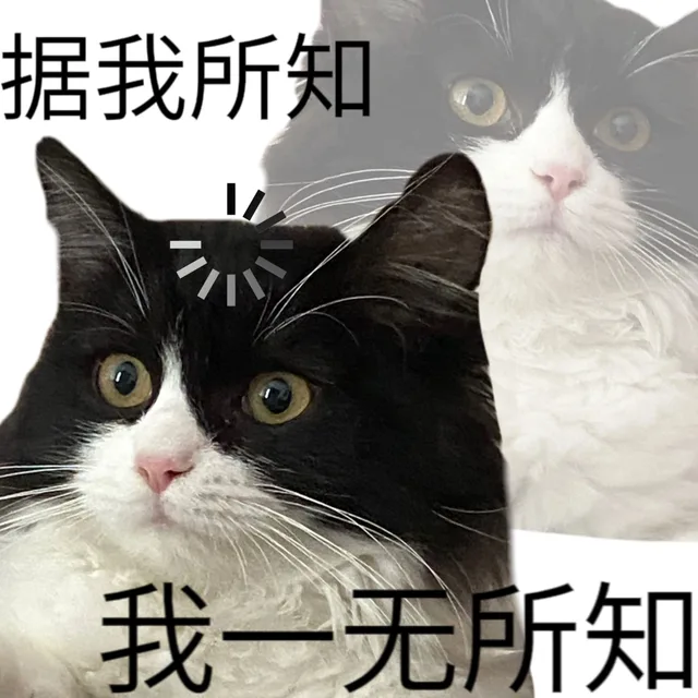 据我所知我一无所知（据我所知我一无所知）