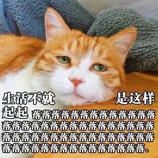 生活不就是这样起起落落落落