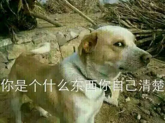 你是个什么东西自己清楚