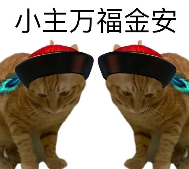 小主万福金安(猫咪表情包)（小主万福金安(猫咪表情包)）