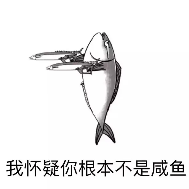 我怀疑你根本不是咸鱼（我怀疑你根本不是咸鱼）