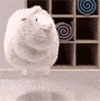 小羊开心 GIF（小羊开心 GIF）