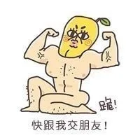 跪，快跟我交朋友！
