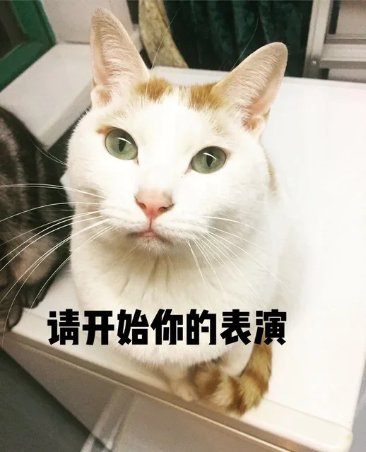 请开始你的表演