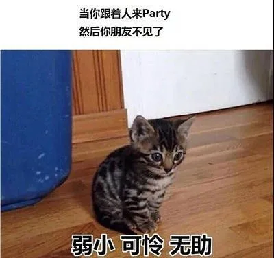 当你跟着人来Party 然后你朋友不见了弱小可怜无助