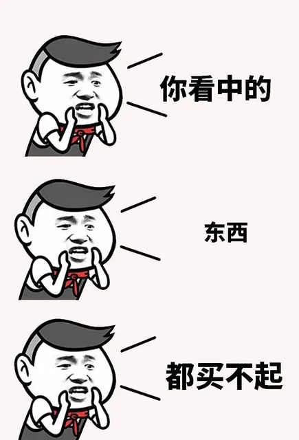 你看中的Q东西都买不起（你看中的Q东西都买不起）
