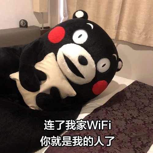 连了我家WiFi你就是我的人了