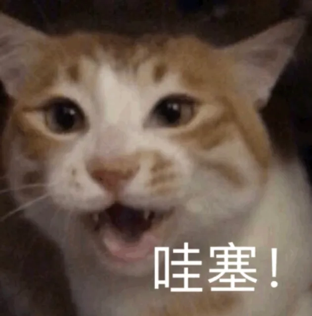 都是猫猫表情包_猫咪表情包