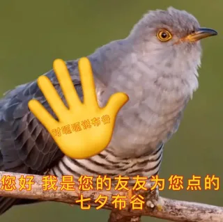 对呱呱说布谷您好我是您的友友为您点的七夕布谷