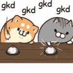 gkd9kd 9kdgkd（gkd9kd 9kdgkd）