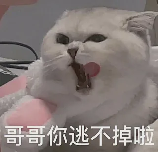 哥哥你逃不掉啦