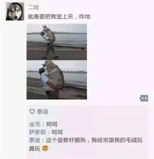二哈：就是要把我宠上天，咋地