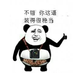 不错，你这逼装得很稳当（不错，你这逼装得很稳当）