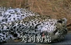 笑到豹毙