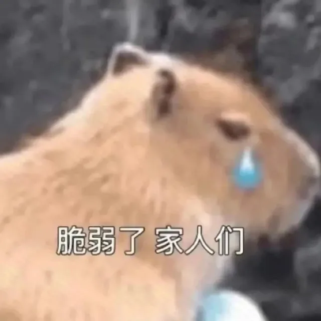 脆弱了家人们(水豚表情包)（脆弱了家人们(水豚表情包)）