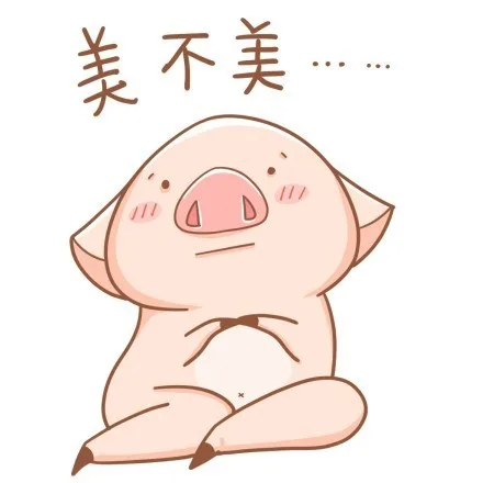 美不美。。。（美不美。。。）