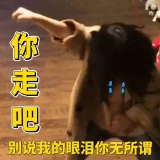 你走吧 别说我的眼泪你无所谓