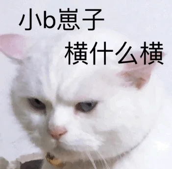 小b 崽子 横什么横