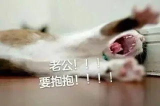 老公！！！要宝宝！！！