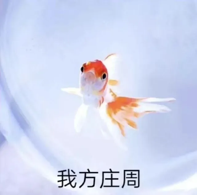 我方庄周