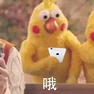 哦