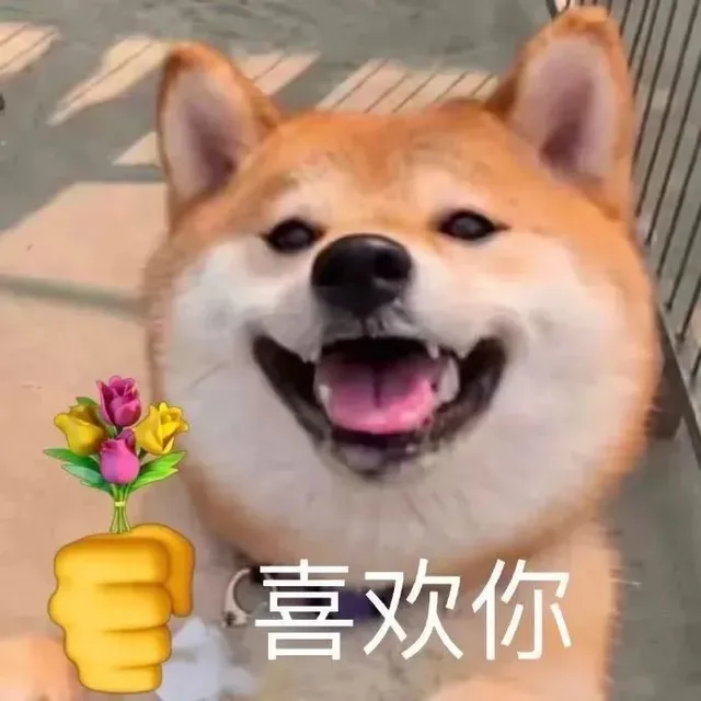 E喜欢你（E喜欢你）