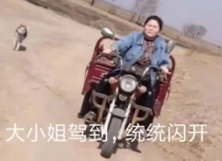 郭老师表情包系列