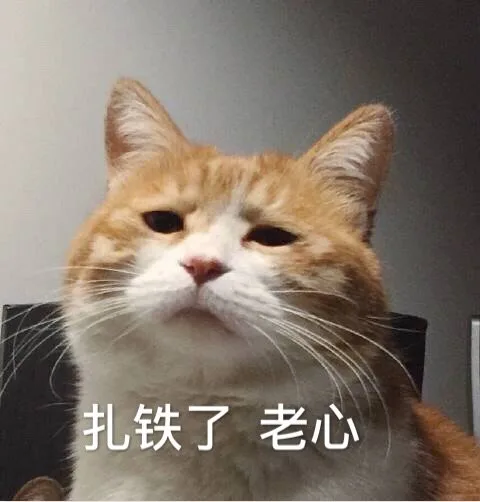 扎铁了老心（扎铁了老心）