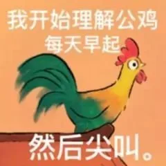 我开始理解公鸡每天早起然后尖叫。（我开始理解公鸡每天早起然后尖叫。）