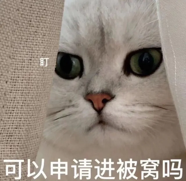 盯可以申请进被窝吗
