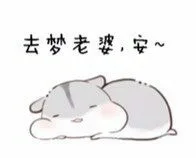 可爱仓鼠表情包_仓鼠_可爱表情包