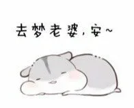 可爱仓鼠表情包_仓鼠_可爱
