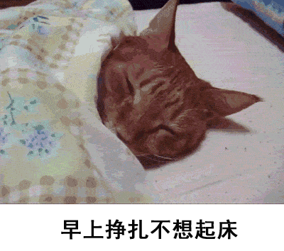 我每天的工作状态