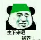 生下来吧，我养！