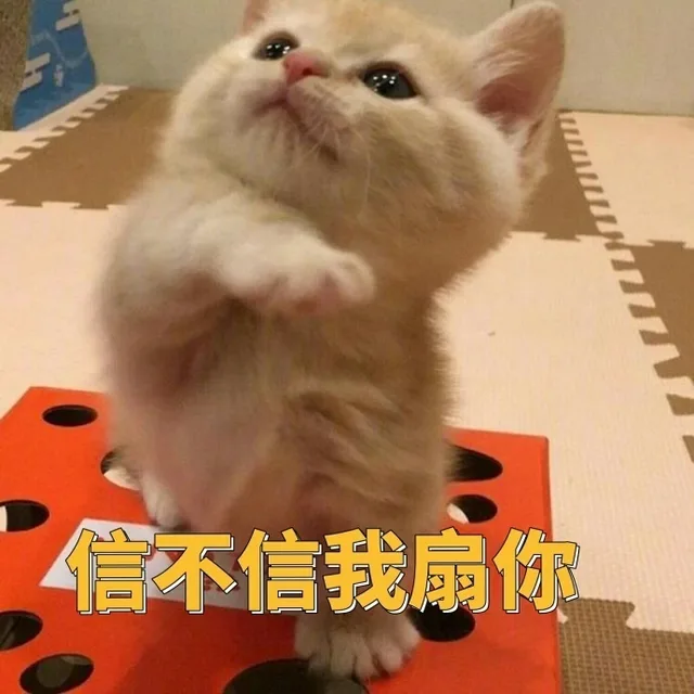 信不信我扇你（信不信我扇你）
