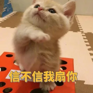 信不信我扇你