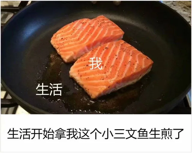 生活开始拿我这个小三文鱼生煎了（生活开始拿我这个小三文鱼生煎了）