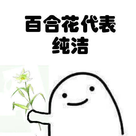 百合花代表纯洁（百合花代表纯洁）