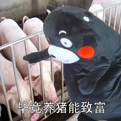 毕竟养猪能致富（毕竟养猪能致富）