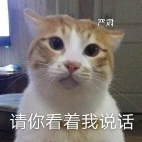 严肃请你看着我说话（严肃请你看着我说话）
