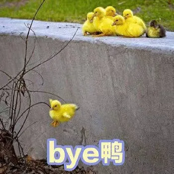 bye 鸭（bye 鸭）