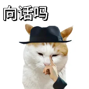 向话吗(猫猫表情包)（向话吗(猫猫表情包)）