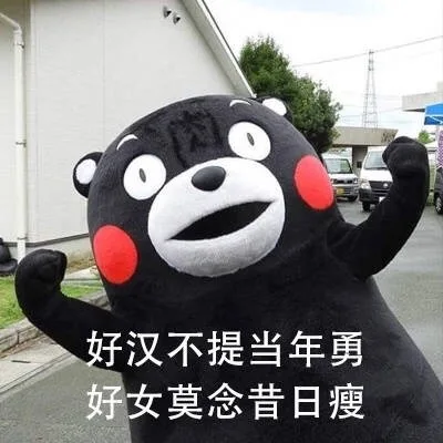 好汉不提当年勇好女莫念昔日瘦（好汉不提当年勇好女莫念昔日瘦）