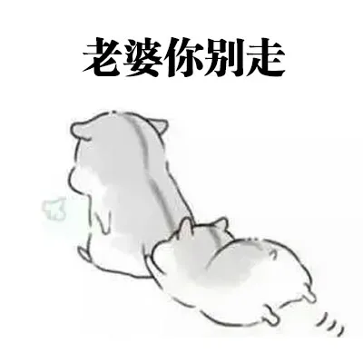 老婆你别走（老婆你别走）