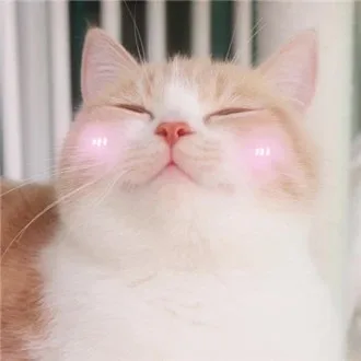 脸红 等撩