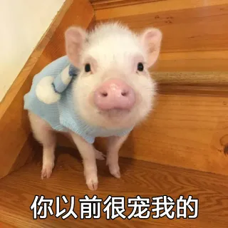 你以前很宠我的