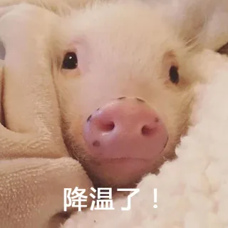 降温了！