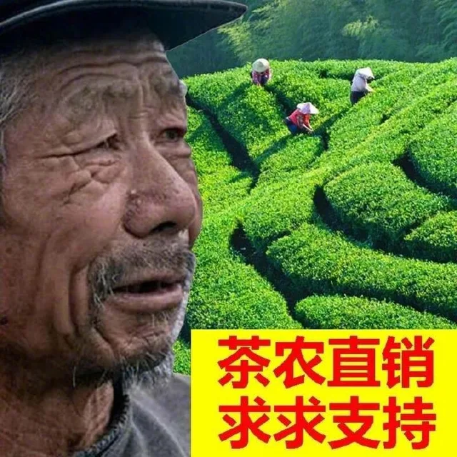 茶农直销求求支持